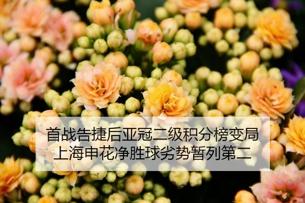 首战告捷后亚冠二级积分榜变局 上海申花净胜球劣势暂列第二